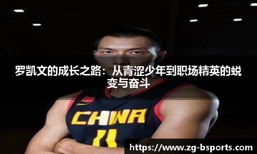 B体育官方