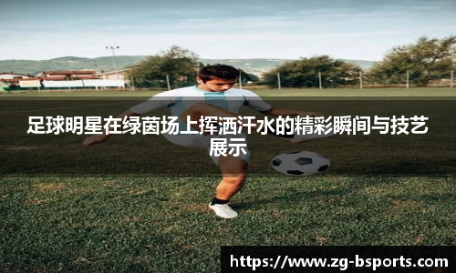 B体育官方